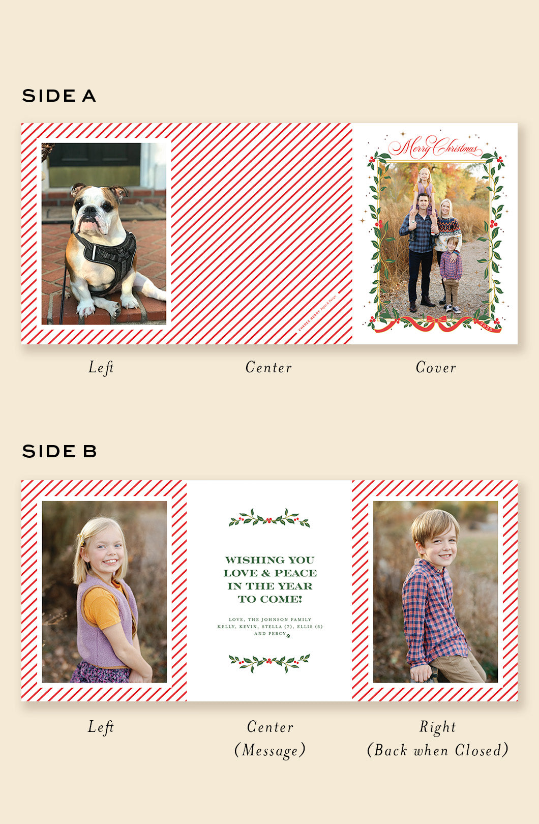 Winterberry Border – Multifold