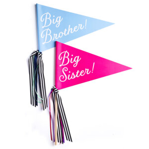 big brother or big sister banner